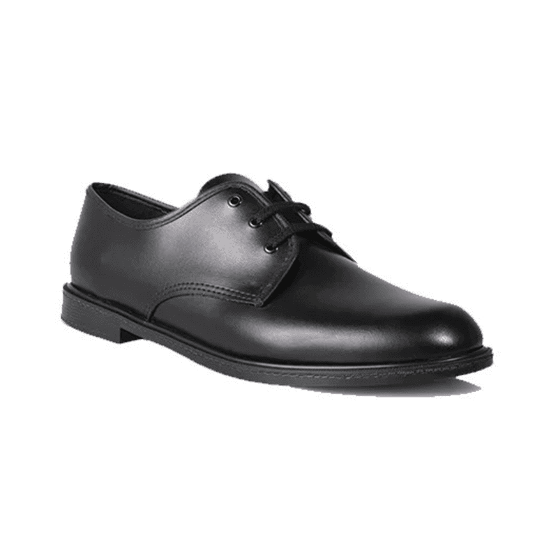 Patriot Officer D/OFFCR NSTC Patriot Officer D/OFFCR NSTC
